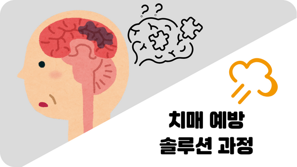 치매 예방 솔루션 과정