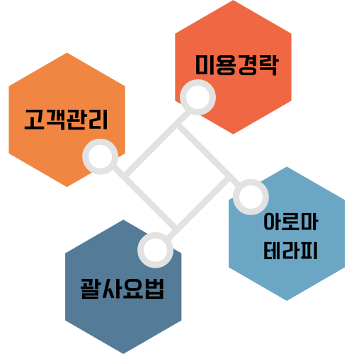 피부관리 전문가 과정